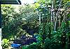 This is the view of the waterfall and pond from the kitchen
