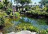 Princess Pond is large and not too deep with a few resident tropical fish to watch.