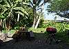 The picnic table and grill are such fun additions to the ocean and lava view yard.