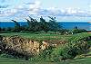 Kapalua Townhouse rental - Exterior Photo