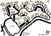 Kapalua Townhouse rental - SitePlan Photo