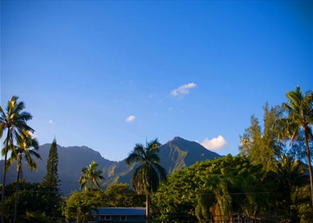On the Road to Hanalei Bay