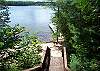 Wild Cherry on Cedar Hedge Lake Interlochen