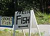 Pick up local fresh fish