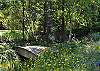 charming garden paths dot the property