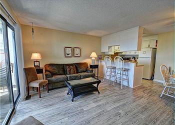 Living Room / Kitchen