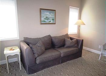 Den with Sleeper Sofa
