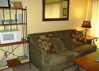 Isle of Palms Condominium rental - Exterior Photo - Living Room