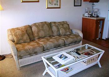 Isle of Palms Condominium rental - Exterior Photo - Living Room