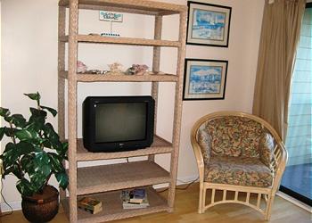 Isle of Palms Condominium rental - Interior Photo - Living Room