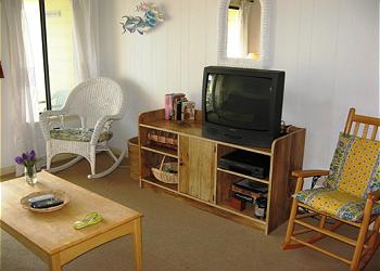 Isle of Palms Condominium rental - Interior Photo - Living Room
