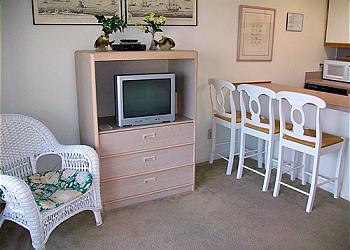 Isle of Palms Condominium rental - Interior Photo - Living Room