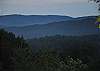 Rich Mountain Wildlife Views