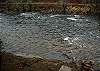 Toccoa River directly in front of Big River Lodge