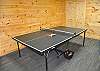 Game Room with Ping Pong