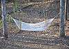Hammock among the trees