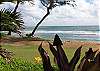 Kauai Condominium rental - Exterior Photo - Beach and Grounds