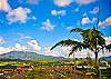 View from Lanai