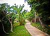 Koloa Condominium rental - Exterior Photo
