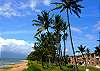 Direct ocean view, ocean front pool, centrally located in Kihei.