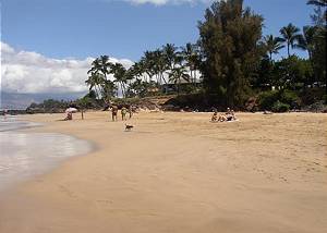 Maui Condo Rentals, Kihei Vacation Condos