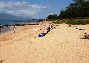 Maui Kamaole #K209