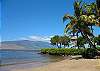 Kihei Bay Surf #144 Cute Studio! Christmas Rate $85 night