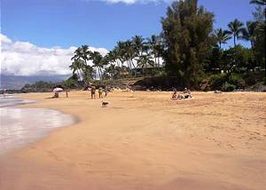 Rentals Maui: Maui Condo Rentals
