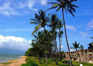 Hale Kai O Kihei #211
