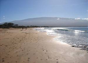Maui Beach Resort C - 403