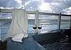 Relax in Your Private Hot Tub Watching the Tide Come In