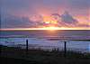Enjoy Beautiful Sunsets