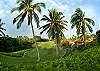 Keauhou Palena 1102 - Right on the golf course
