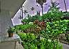 Casa De Emdeko 114 - 1/1  in an OceanFront Community