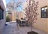 Patio between main & guest house