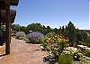 Patio with flowers