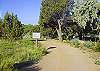 Trail