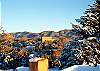 Snow covered view
