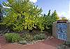 Yard with blue gate