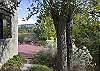 Side yard to patio