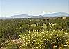 Sandia Mountain views