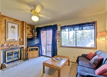 Living Room View 2