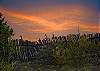 Fence
