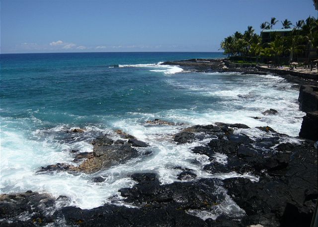 View from the lanai looking north.