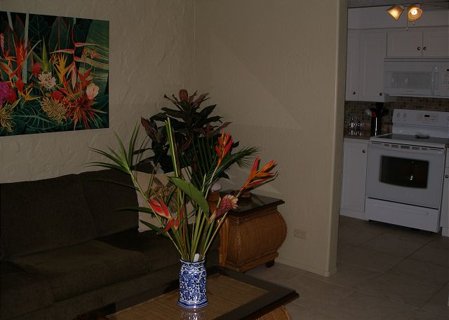 Living room into the kitchen which was totally remodeled this ye