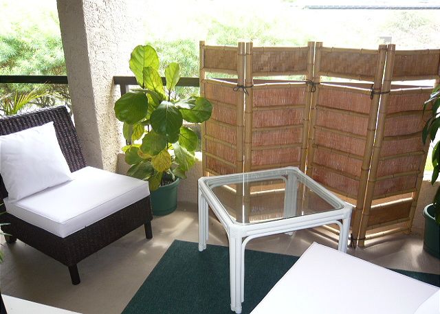 Nice lanai area off the bedroom.