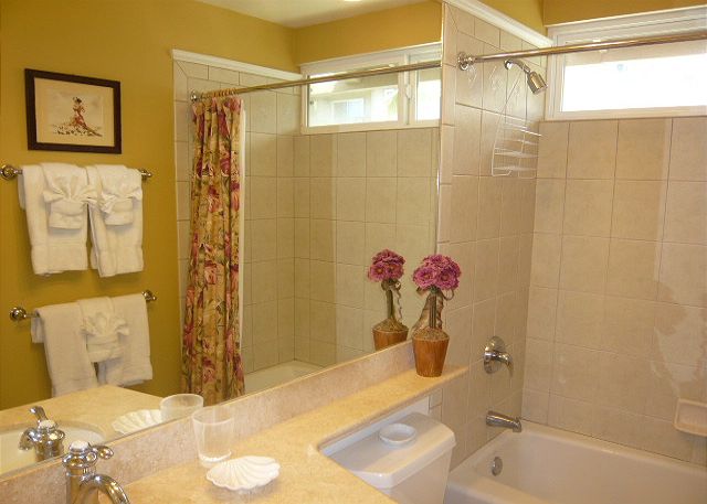 Downstairs bath