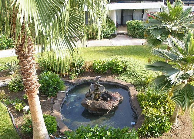 Dolphin pond from the lanai