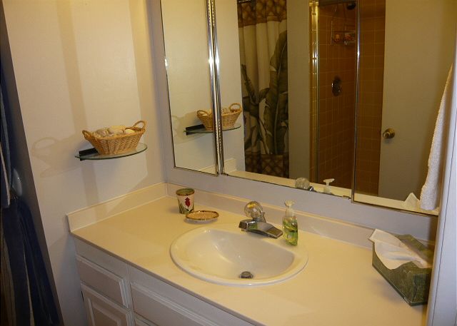 Bathroom off the master bedroom.