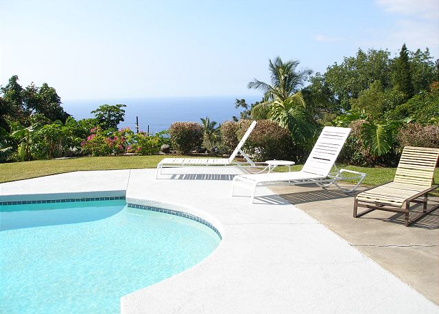 Tropical Paradise!